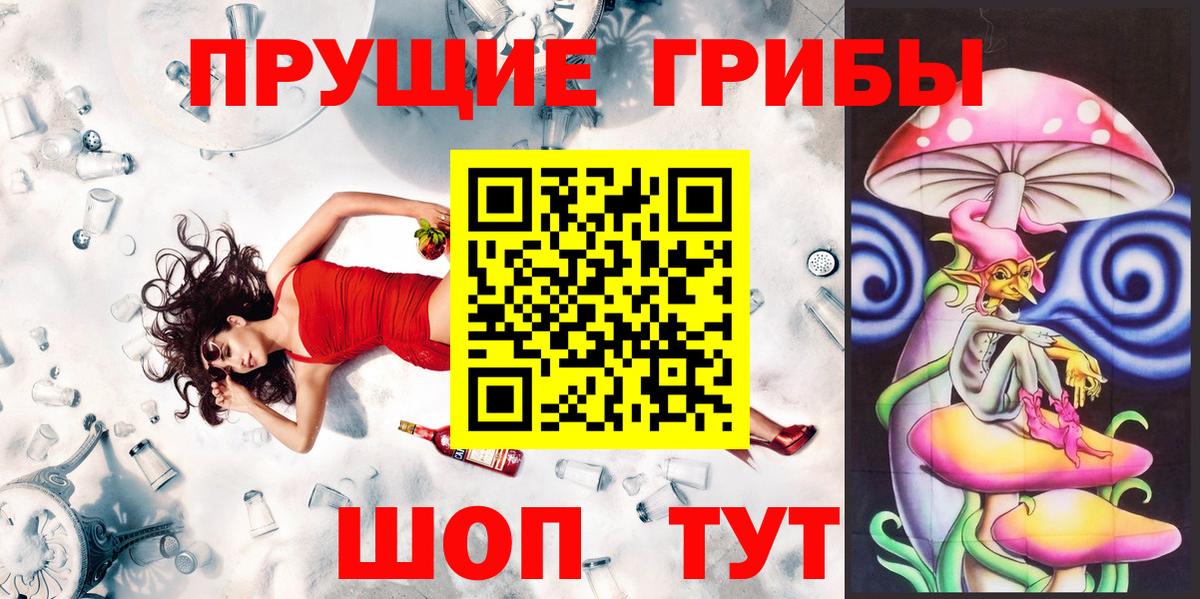 Псилоцибиновые грибы мицелий  купить закладку  Вход с VPN  Белгород  Галлюциногенные грибы GOLDEN TEACHER 