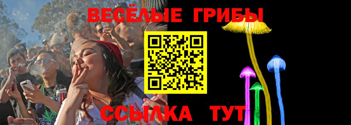 Псилоцибиновые грибы мухоморы Белгород