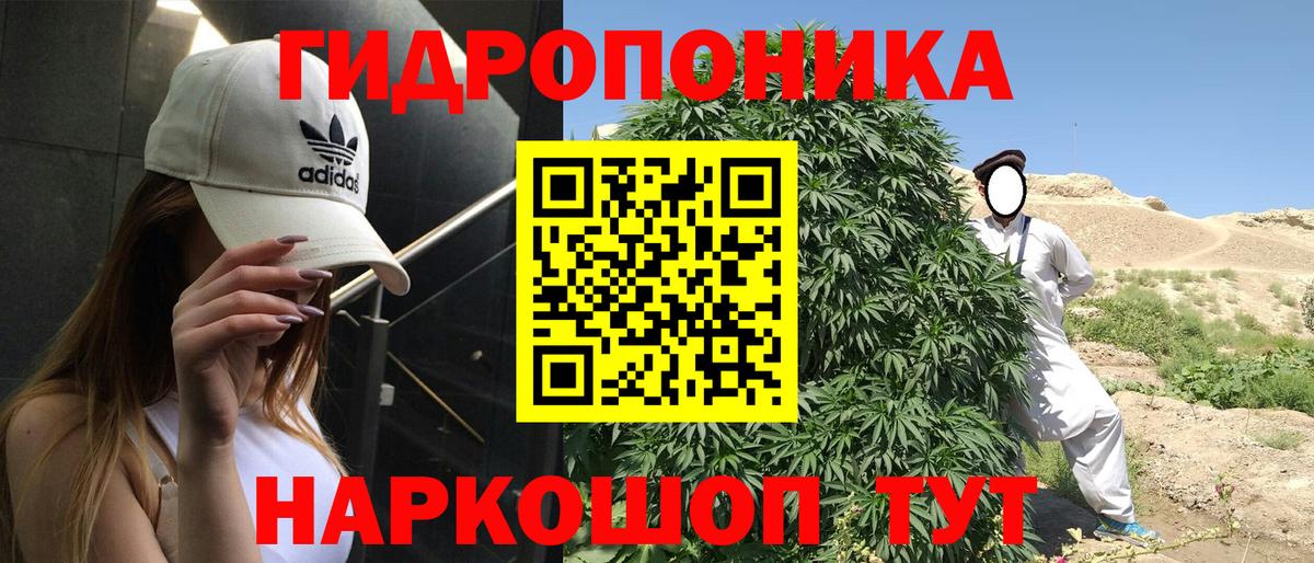 Белгород  Марихуана планчик  Вход с VPN  Каннабис сатива  Каннабис White Widow 